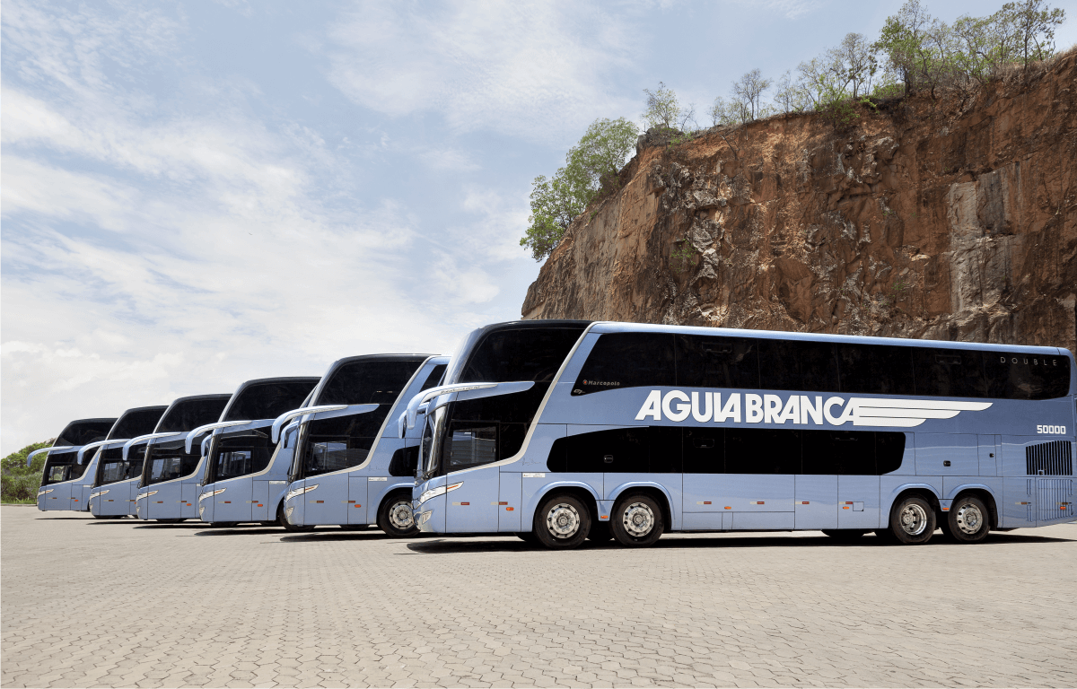 Imagem de diversos ônibus da Águia Branca. Estão em fileira.
