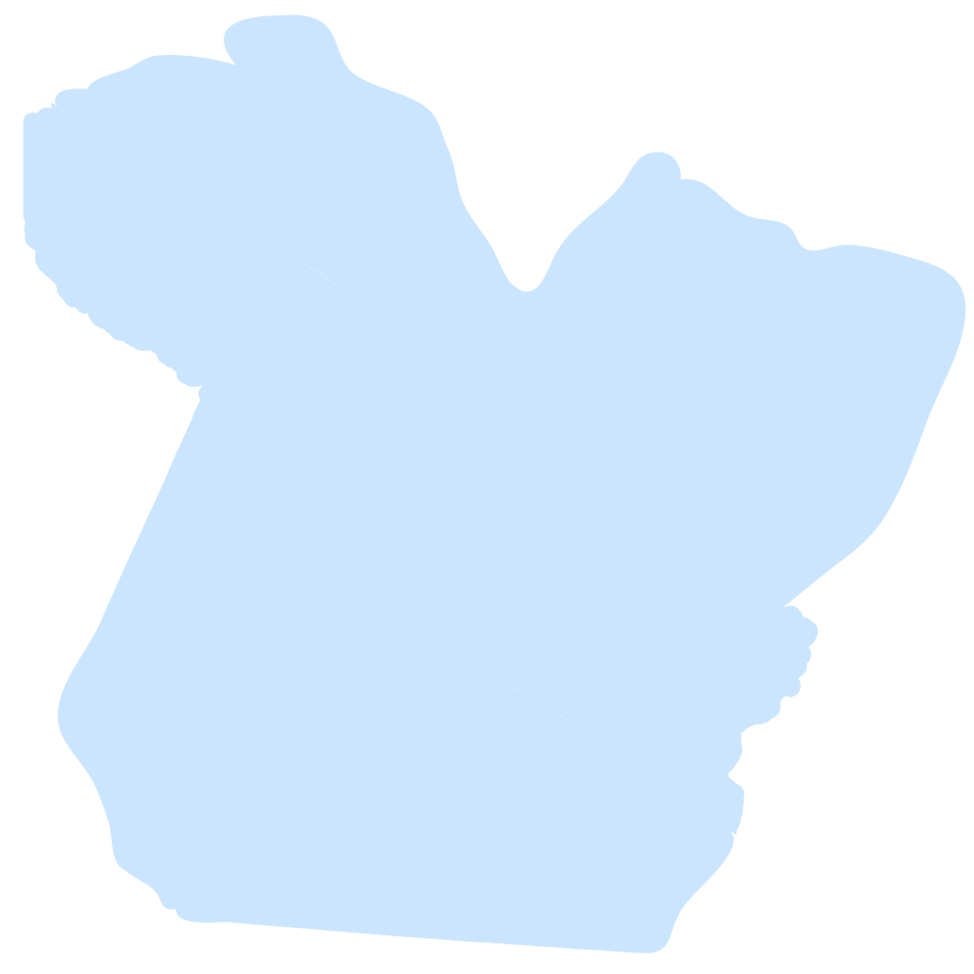 O estado do Pará